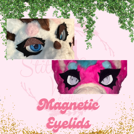 Magnetic Eyelids